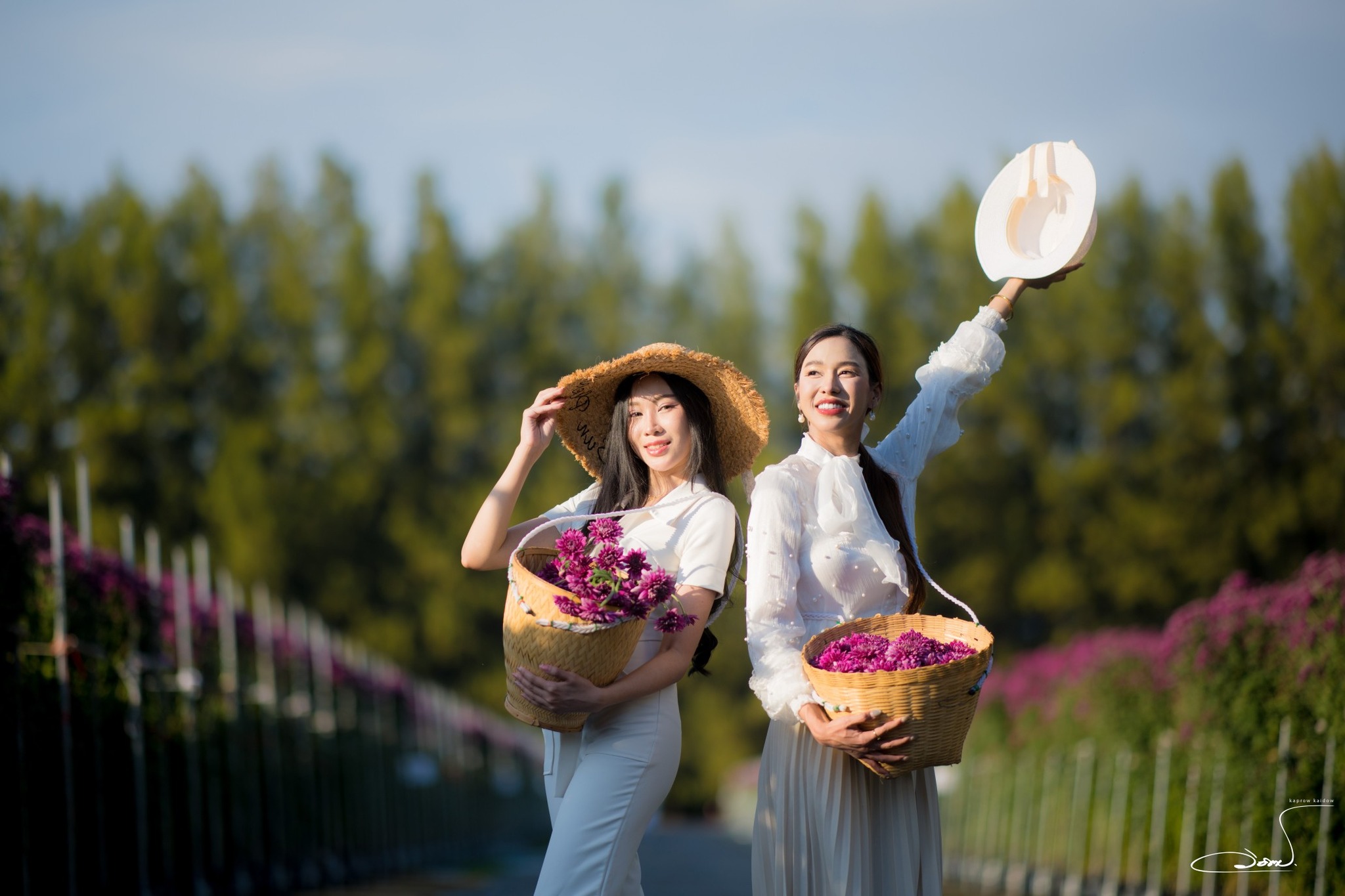 เทศกาลชมสวนดอกไม้ ”ทุ่งสวรรค์ ตะวันฉาย“