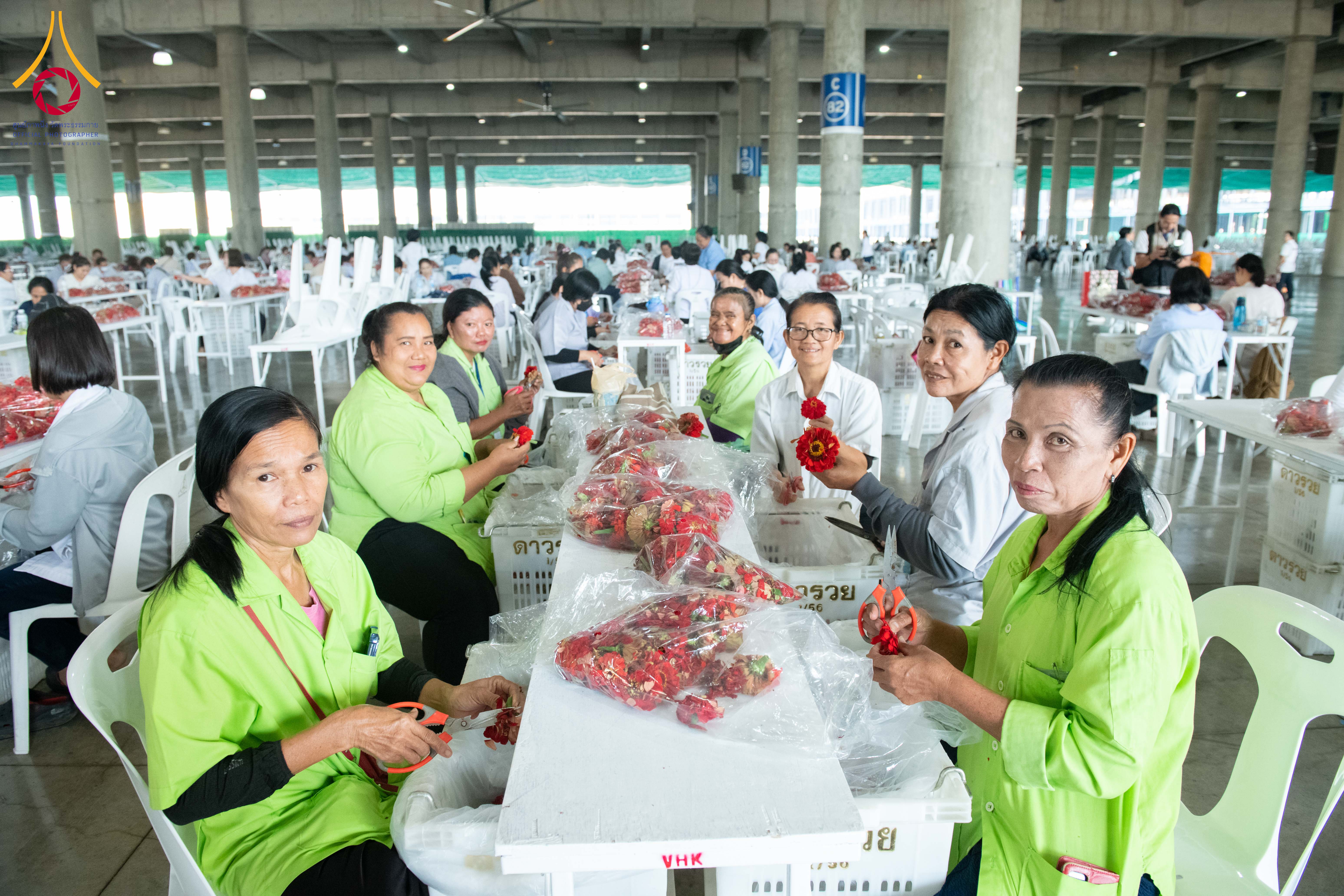 เจ้าหน้าที่วัดพระธรรมกาย และสาธุชน รับบุญปลิดกลีบดอกเบญจทรัพย์ และทรัพย์บานชื่น