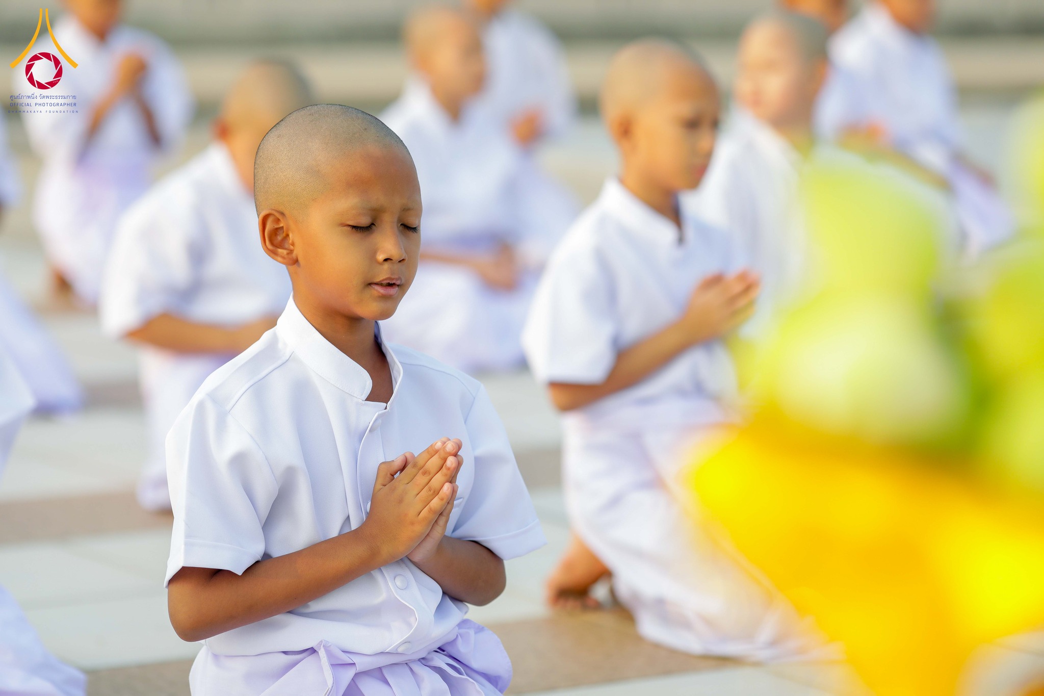 The Mass Ordination of 5,000 Novices in 2026