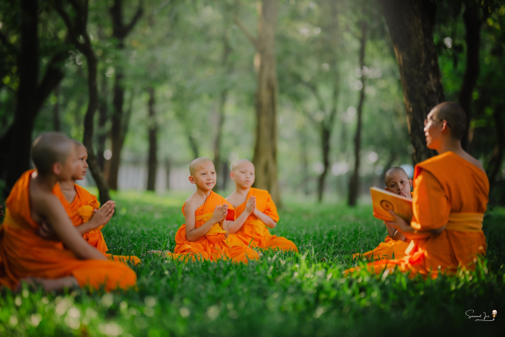 บวชเรียนบาลี วัดพระธรรมกาย ประจำปี พ.ศ. 2569