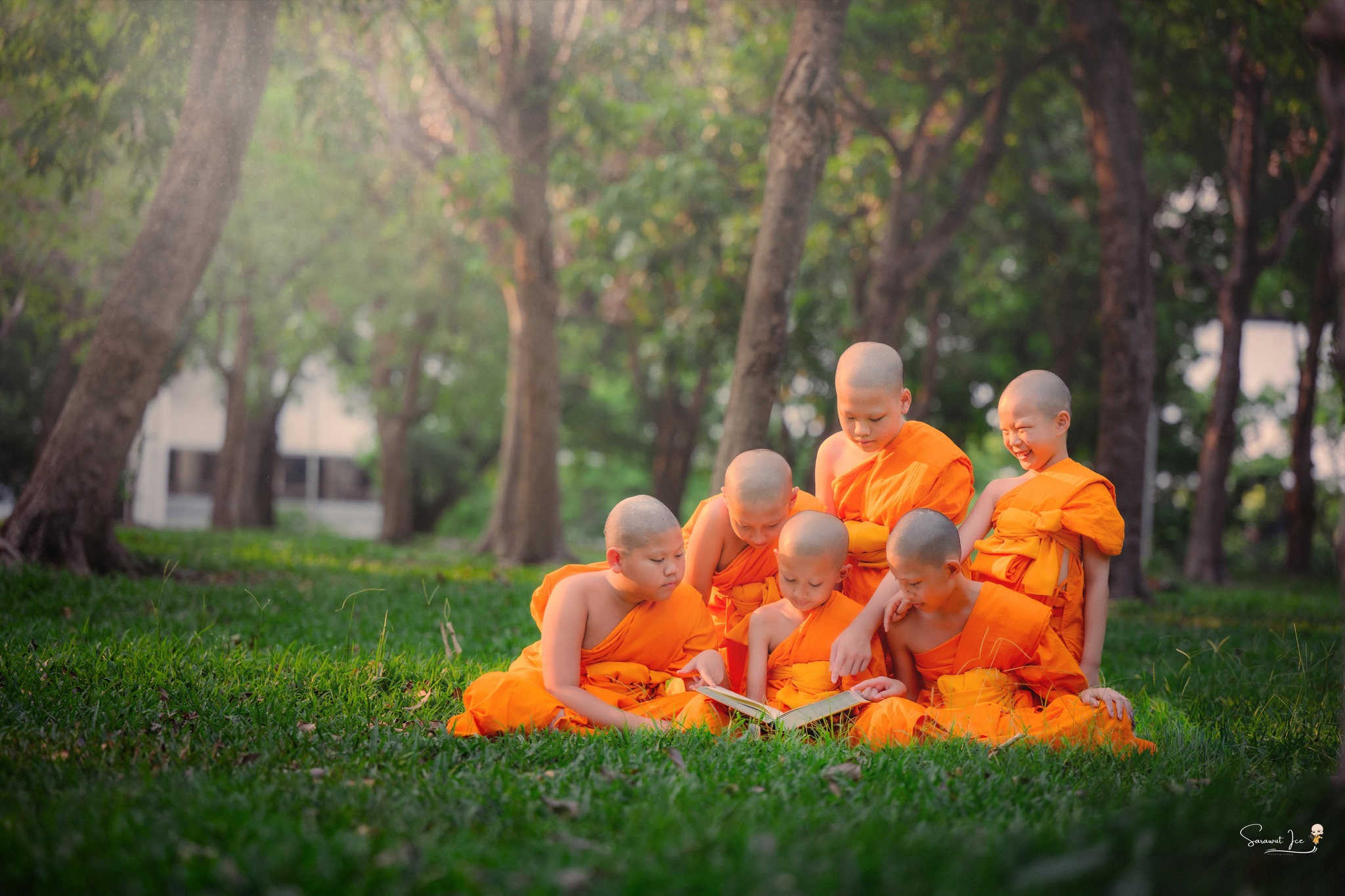 บวชเรียนบาลี วัดพระธรรมกาย ประจำปี พ.ศ. 2569