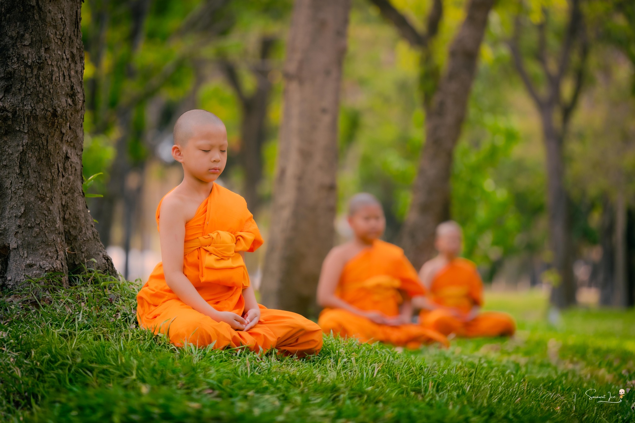 บวชเรียนบาลี วัดพระธรรมกาย ประจำปี พ.ศ. 2569