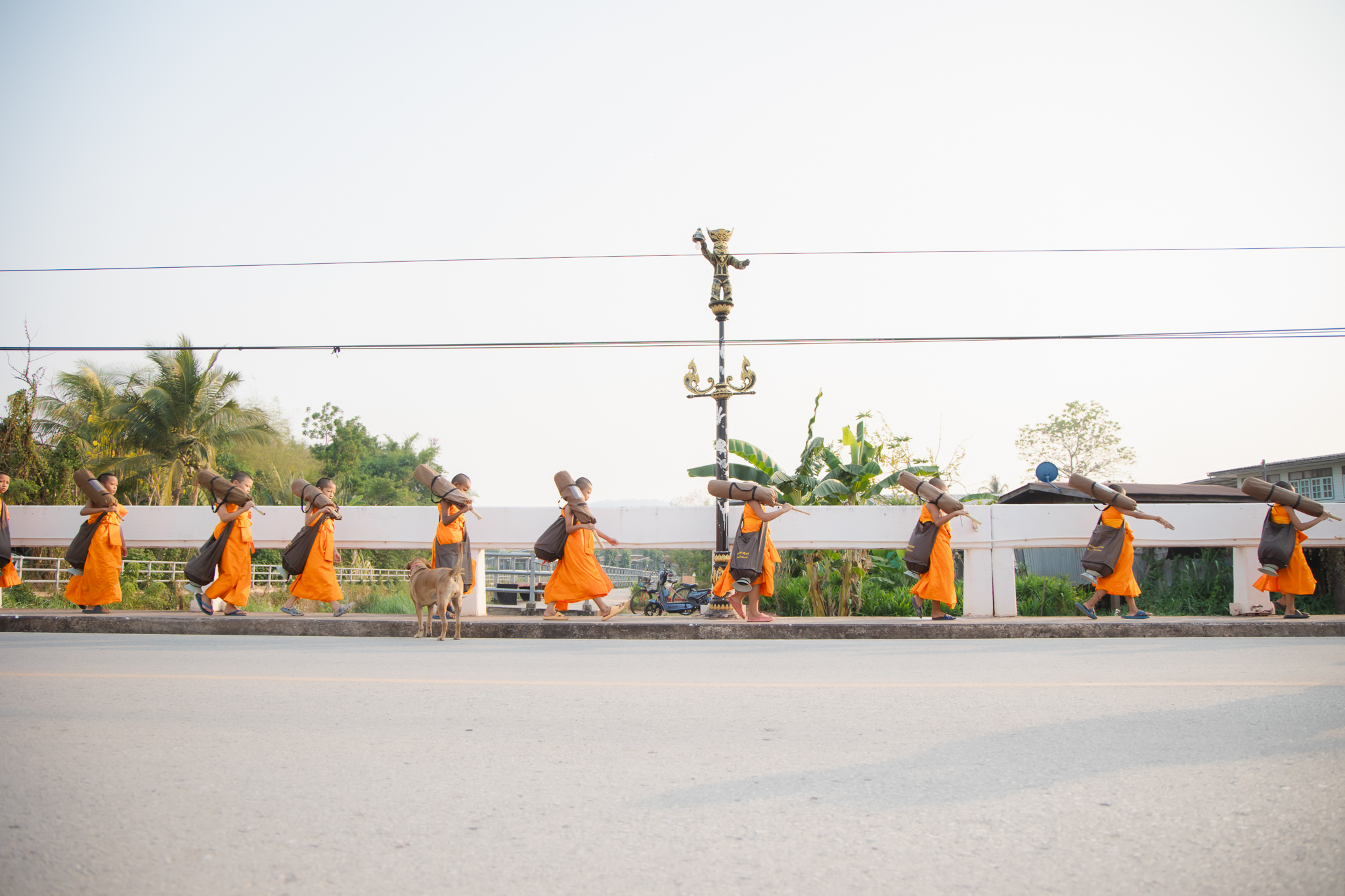 สามเณรภาคฤดูร้อน ศูนย์ปฏิบัติธรรมแก้วเมืองเลย ร่วมเดินธุดงค์จากใจกลางเมือง ด่านซ้ายมุ่งสู่บ้านนาดี