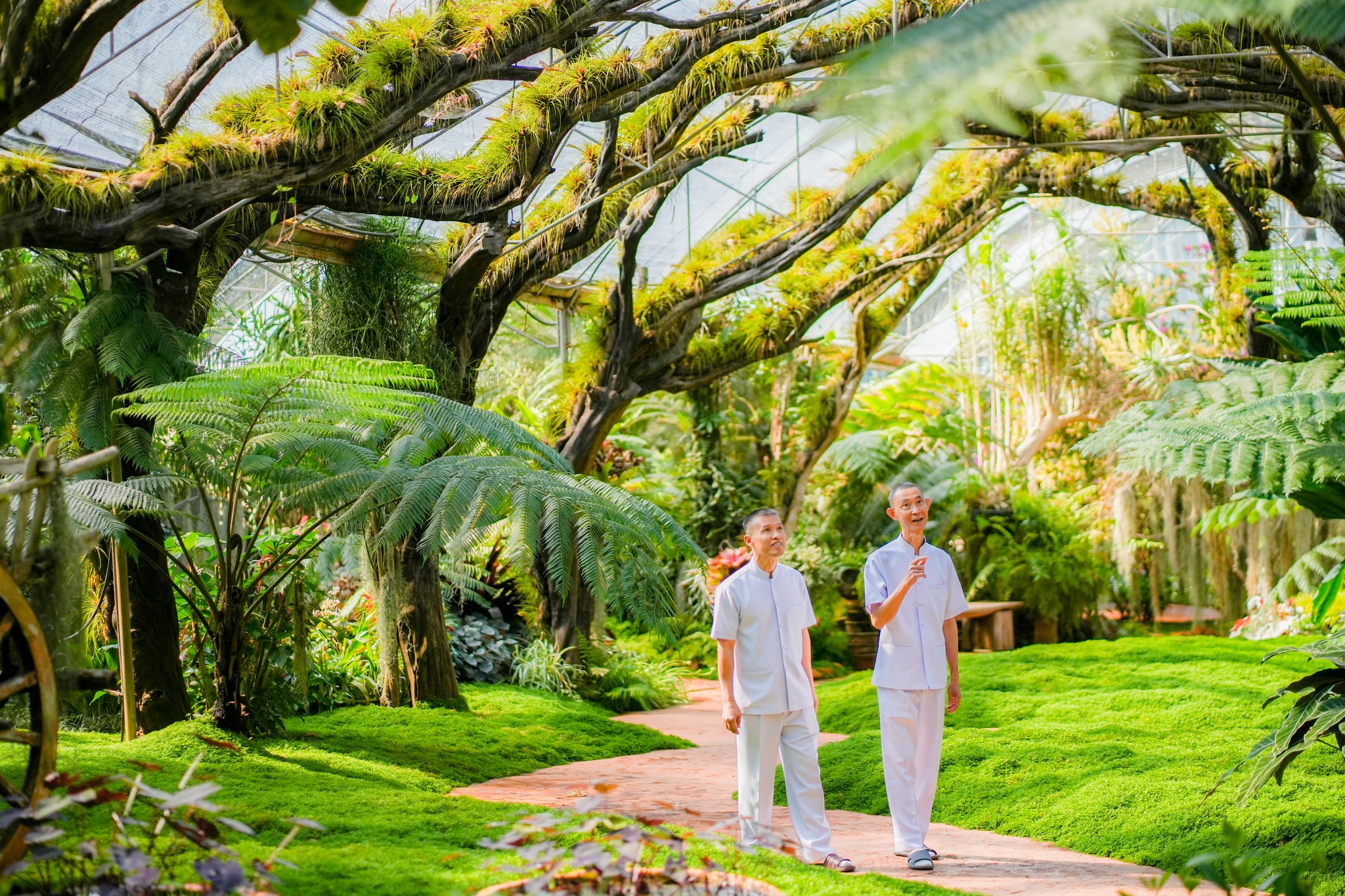 อุบาสกอุปสมบทอุทิศชีวิต ในวันวิสาขบูชา วันอาทิตย์ที่ 31 พฤษภาคม พ.ศ. 2569