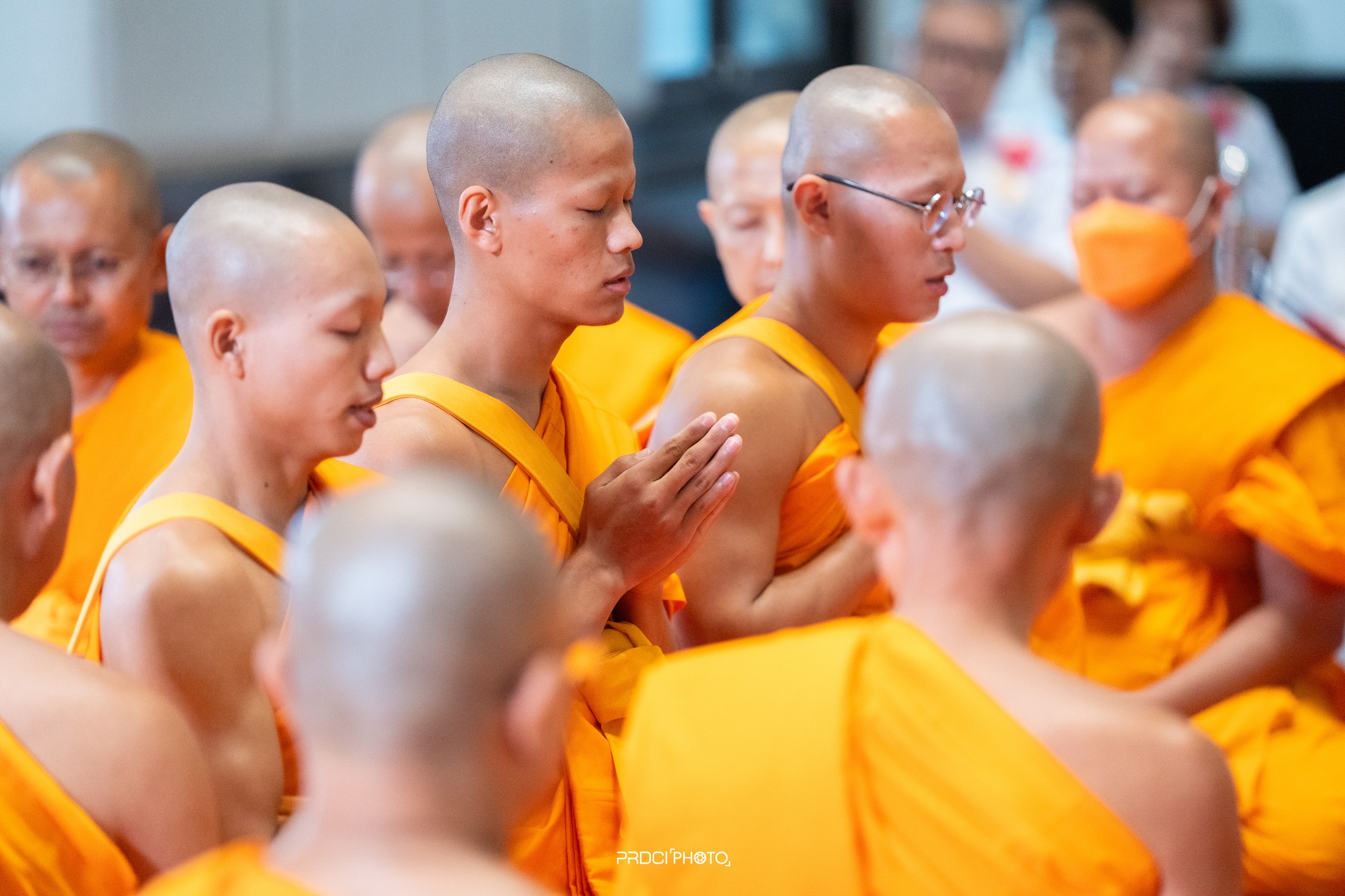 พิธีอุปสมบทสามเณรเตรียม DCI รุ่นที่ 23 ณ อุโบสถพระไตรปิฎก วัดพระธรรมกาย