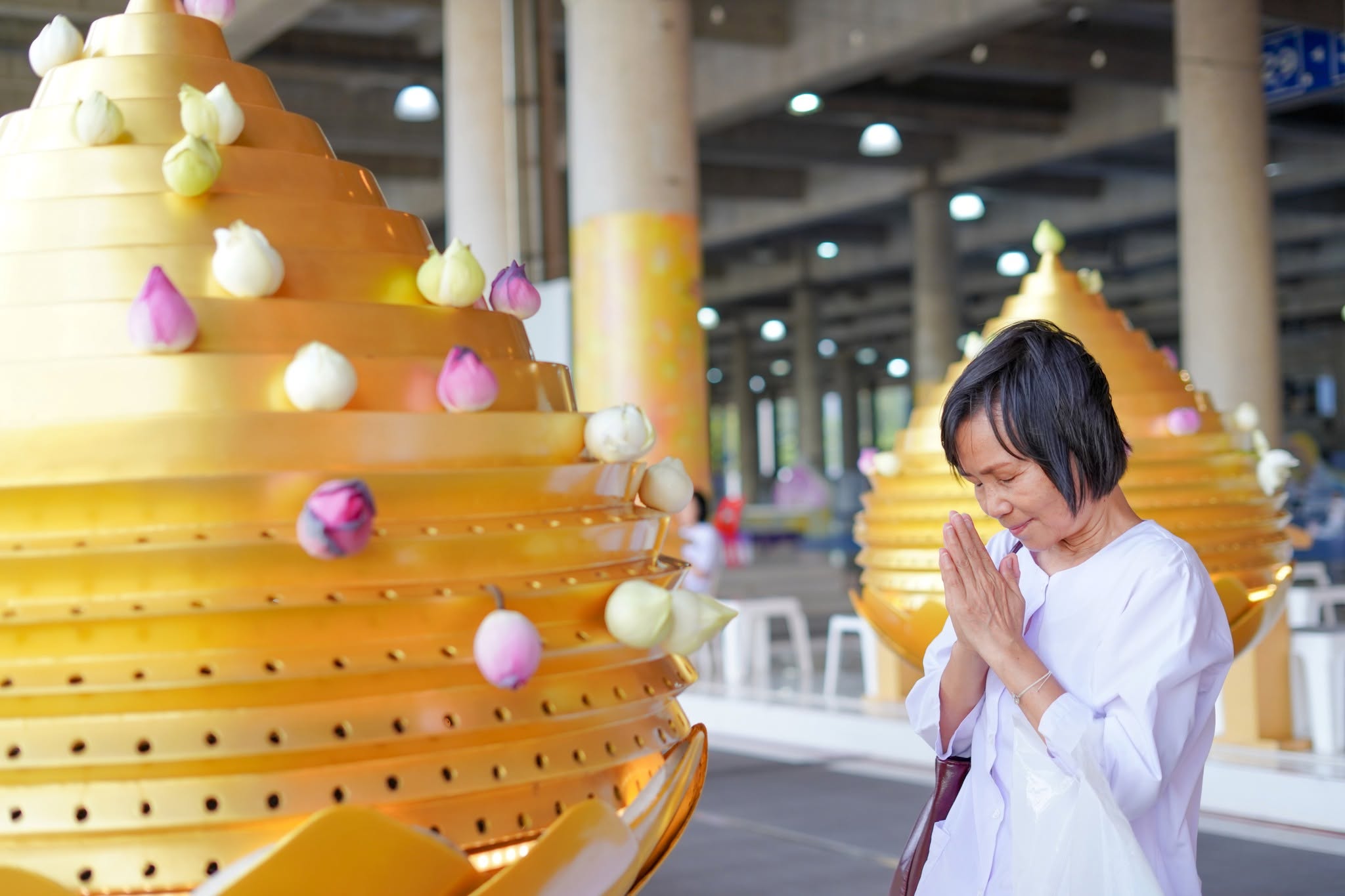 ชาวฮ่องกง เดินทางมาเยี่ยมชมวัดพระธรรมกาย