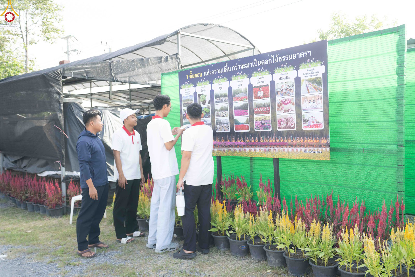 สาธุชนและเจ้าหน้าที่วัดพระธรรมกาย รับบุญปักชำต้นกล้าเบญจทรัพย์