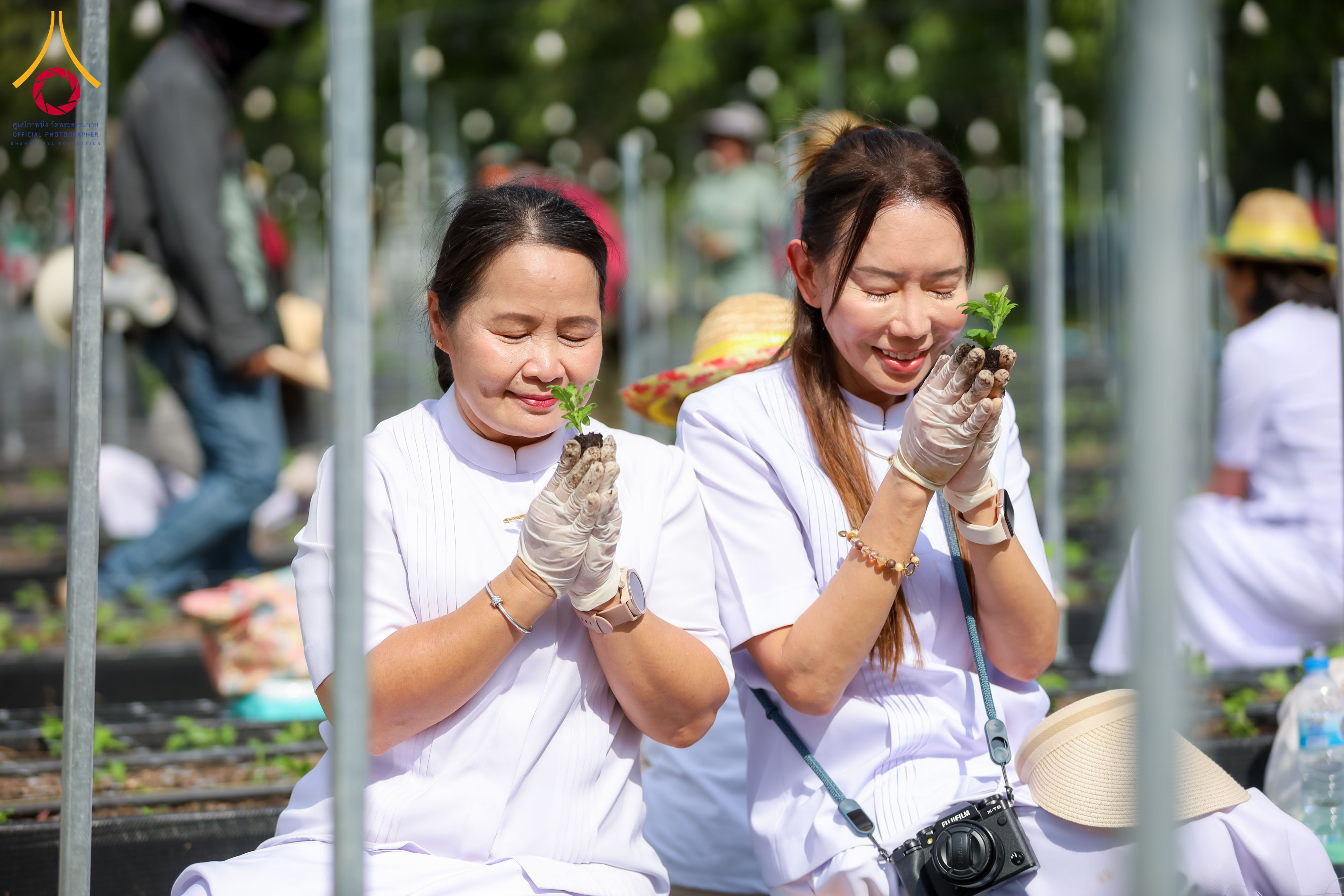 สาธุชนพร้อมด้วยเจ้าหน้าที่วัดพระธรรมกาย ร่วมปลูกต้นเบญจทรัพย์