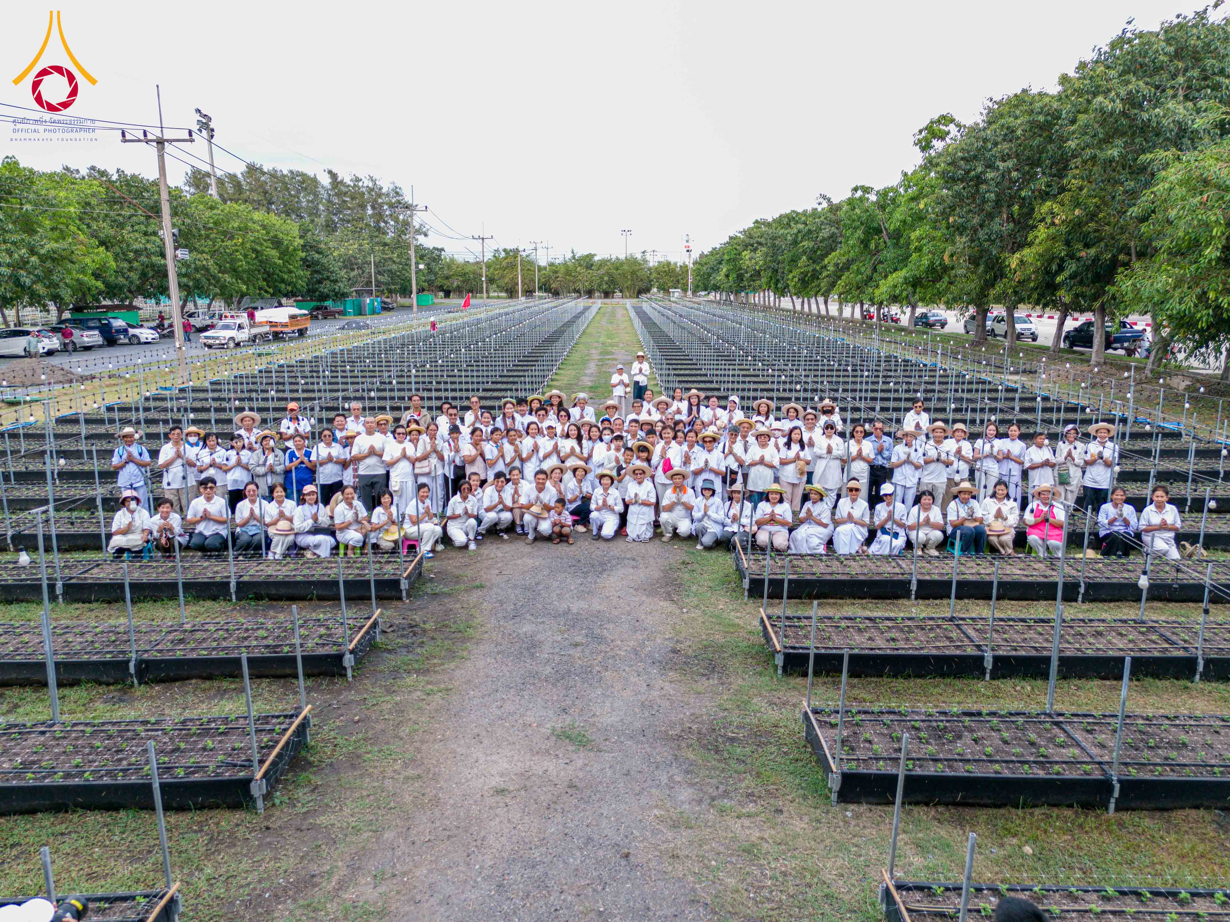 สาธุชนพร้อมด้วยเจ้าหน้าที่วัดพระธรรมกาย ร่วมปลูกต้นเบญจทรัพย์
