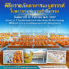 พิธีถวายภัตตาหารเมนูสวรรค์ 10 กันยายน 2567