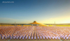 ภาพประกอบซีรีย์ บวชพระแสนรูป