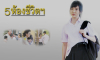 ภาพประกอบซีรีย์ ละครฟื้นฟูศีลธรรมโลก