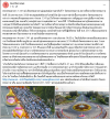 สื่อมวลชนเสนอข่าว พระธรรมยาตรา 1,141 รูป เดินธรรมยาตราสู่อนุสรณ์สถานลำดับที่ 7 วัดพระธรรมกาย สถานที่ขยายวิชชาธรรมกาย
