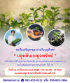 ขอเชิญชวนทุกท่านรับบุญพิเศษ "ปลูกต้นเบญจทรัพย์" วันที่ 16-17 สิงหาคม พ.ศ. 2568