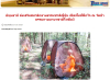 สื่อมวลชนเสนอข่าวงานบุญ เปิดพื้นที่ปฏิบัติธรรมกลางป่าเขาญี่ปุ่นเรียนรู้ความสงบผ่านสมาธิ ที่วัดป่าธรรมกายนานาชาติโทชิหงิ