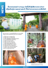 สื่อมวลชนเสนอข่าวงานบุญ เปิดพื้นที่ปฏิบัติธรรมกลางป่าเขาญี่ปุ่นเรียนรู้ความสงบผ่านสมาธิ ที่วัดป่าธรรมกายนานาชาติโทชิหงิ