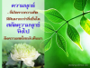 เมื่อเจอวิกฤตต้องทำอย่างไร ?