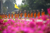 The Photo Collection of the 3rd Dhammachai Dhutanga on January 7th, 2014