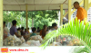 Dhammakaya Temple offered rice and dried food to Panare district in Pattani province