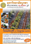 The Morning Alms Round to 1,111 Monks at Burapha University Chonburi Campus