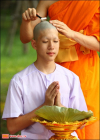 The Nationwide Rain-Retreat Ordination 2012 Program of 100,000 Monks