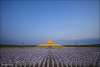 The Photo Collection of the Novice Ordination Ceremony at Dhammakaya Temple on March 20th, 2013