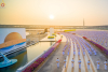 วัดพระธรรมกาย จัดพิธีบรรพชาสามเณร 5,000 รูป (ภาคฤดูร้อน)