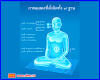 ผลการปฏิบัติธรรม พระอนันต์ ฐานิยชโย