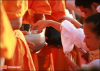 The Morning Alms Round to 1,260 Monks in Nong Khai province