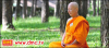 The International Dhammadayada Ordination Program - the 4th time for Japanese