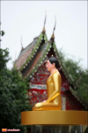 The Photo Collection of the Ceremony of Establishing the Main Buddha Image at Wat Pamak (2)