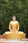 The Photo Collection of the Ceremony of Establishing the Main Buddha Image at Wat Pamak