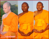 ผลการปฏิบัติธรรม พระธรรมทายาทนานาชาติ รุ่นพิเศษ