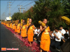 รับสมัคร แพทย์ พยาบาล และบุคลากรทางการแพทย์ ช่วยรับบุญดูแลพระภิกษุสงฆ์เดินธุดงค์ธรรมชัย