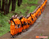 The Foreign Monks Pilgrimaged