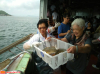 Wat Phra Dhammakaya Hong Kong and Wat Bhavana Kowloon released fish in June 2015