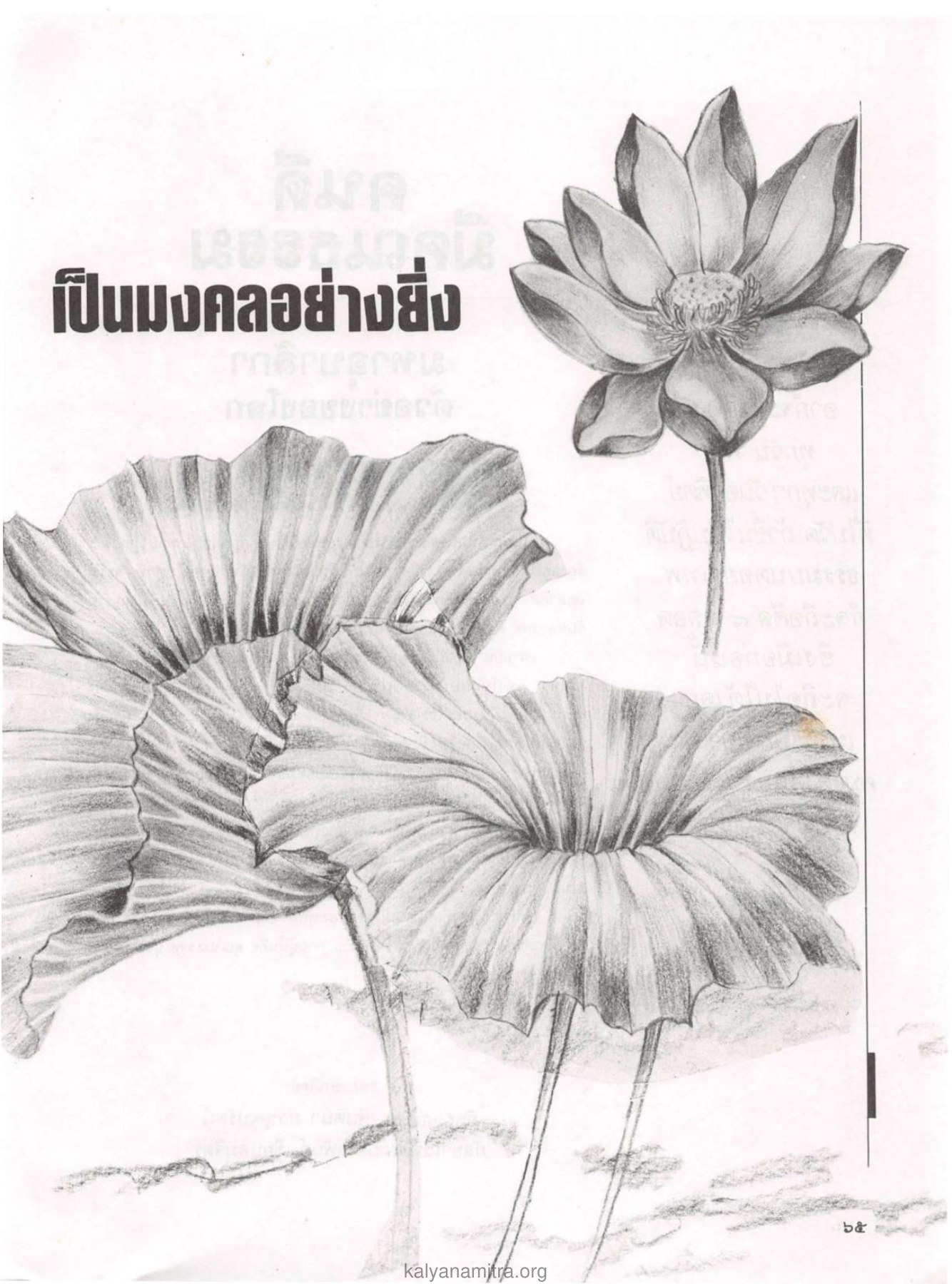 เป็นมงคลอย่างยิ่ง — วารสารกัลยาณมิตร ปี 2529 ฉบับที่ 2 เดือนกุมภาพันธ์ หน้า 69 วารสารกัลยาณมิตร ปี 2529 ฉบับที่ 2 เดือนกุมภาพันธ์ หน้า 69