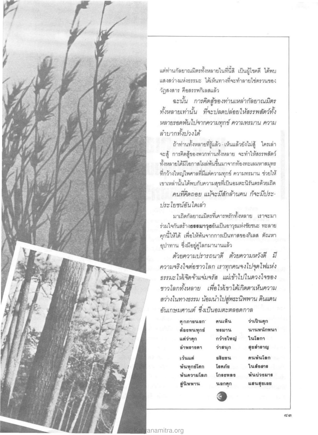 การปลดปล่อยจากความทุกข์ วารสารกัลยาณมิตร ปี 2529 ฉบับที่ 9 หน้า 89