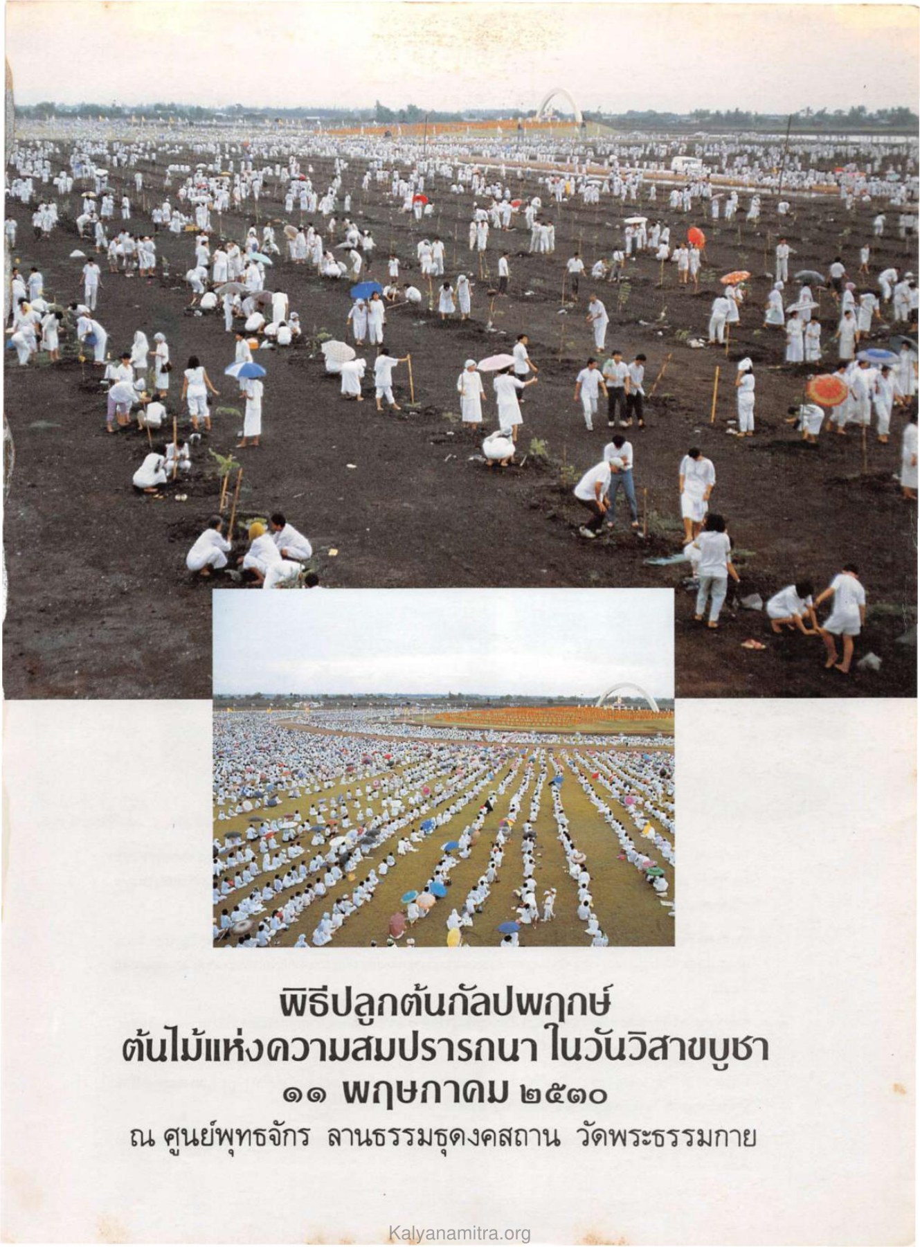 พิธีปลูกต้นกัลปพฤกษ์ — วารสารกัลยาณมิตร ปี 2530 ฉบับที่ 6 หน้า 3 วารสารกัลยาณมิตร ปี 2530 ฉบับที่ 6 หน้า 3