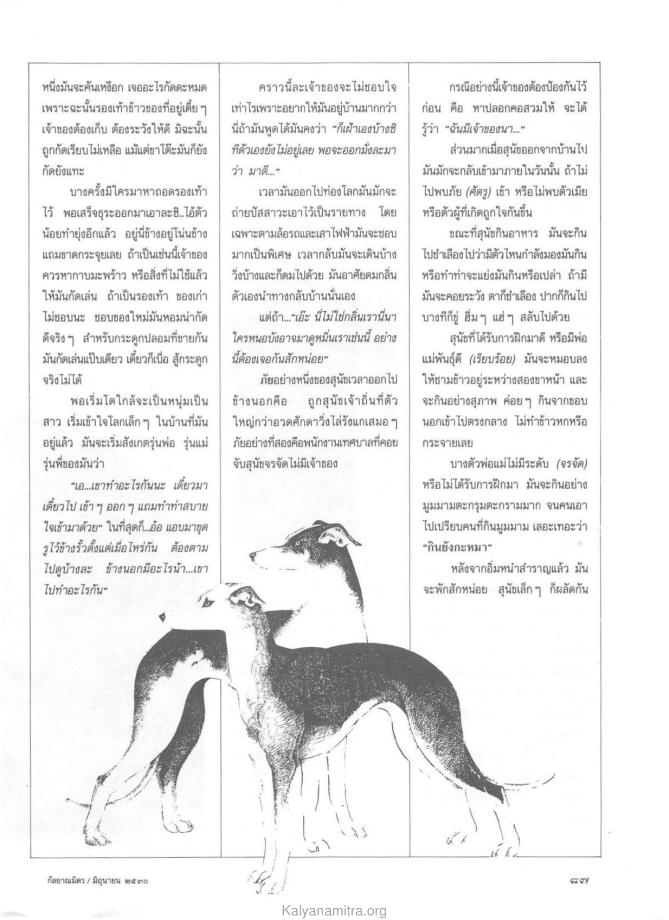 พฤติกรรมของสุนัข วารสารกัลยาณมิตร ปี 2530 ฉบับที่ 6 หน้า 81