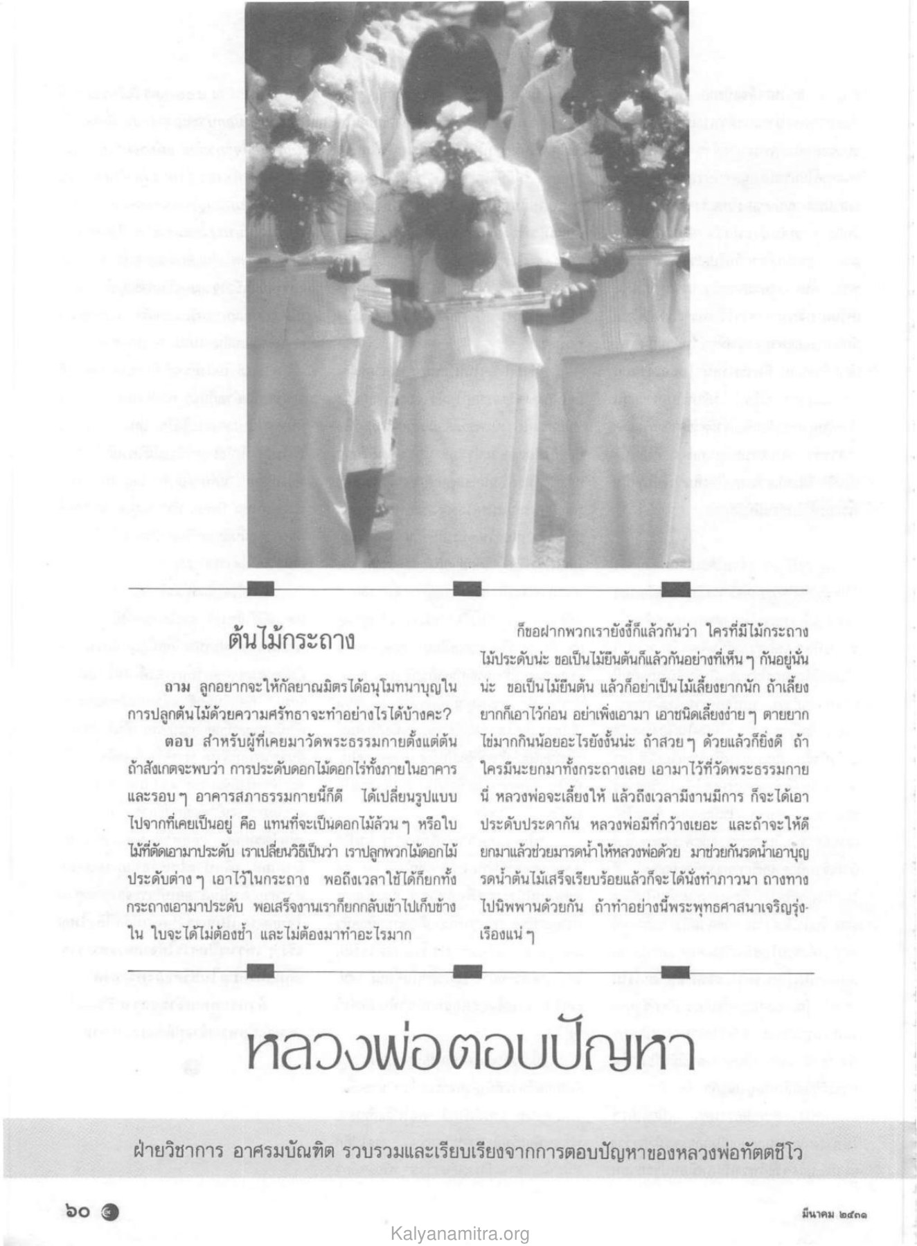 การปลูกต้นไม้ในวัดพระธรรมกาย วารสารกัลยาณมิตร ปี 2531 ฉบับที่ 3 หน้า 62