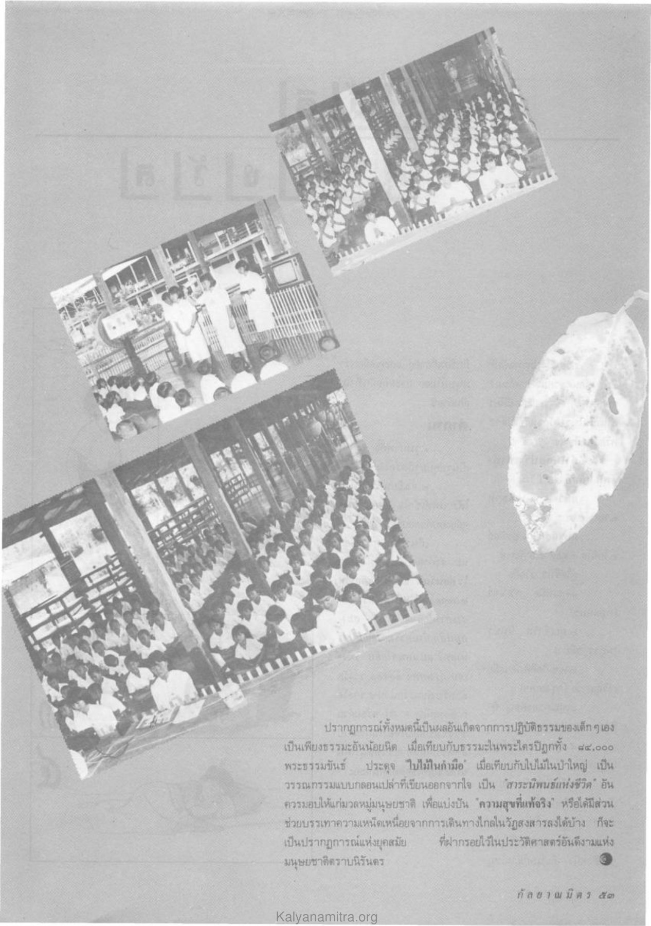 การปฏิบัติธรรมของเด็ก วารสารกัลยาณมิตร ปี 2532 ฉบับที่ 11 หน้า 55