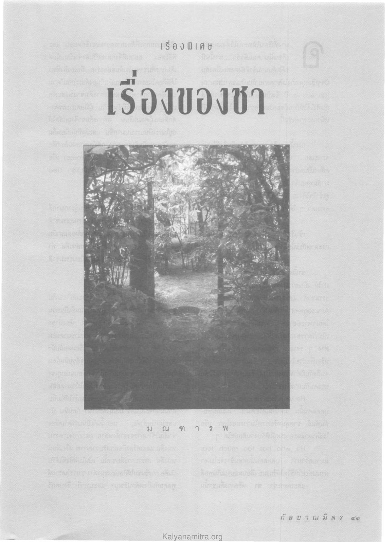 หอมดีนะลูกนะ เ รื่ อ ง พิเศษมีและ — วารสารกัลยาณมิตร ปี 2534 ฉบับที่ 4 หน้า 43 วารสารกัลยาณมิตร ปี 2534 ฉบับที่ 4 หน้า 43