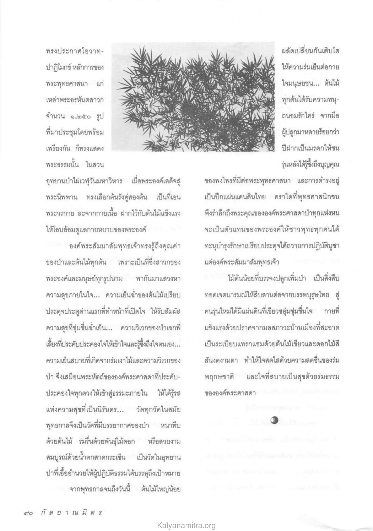 คุณค่าของป่าและต้นไม้ในพระพุทธศาสนา วารสารกัลยาณมิตร ปี 2534 ฉบับที่ 8 หน้า 92