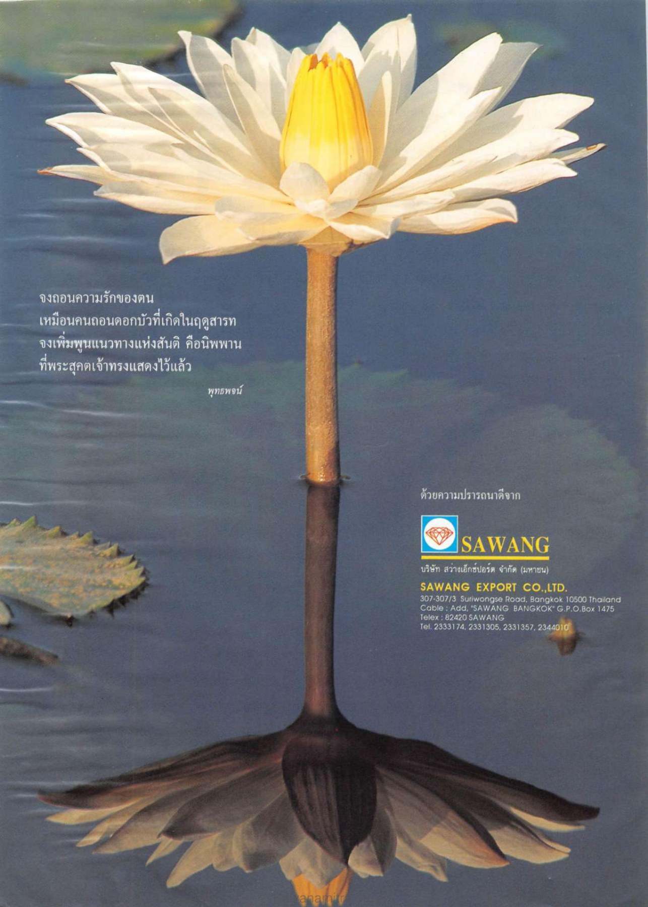 แนวทางแห่งสันติ วารสารกัลยาณมิตร ปี 2537 ฉบับที่ 3 หน้า 6
