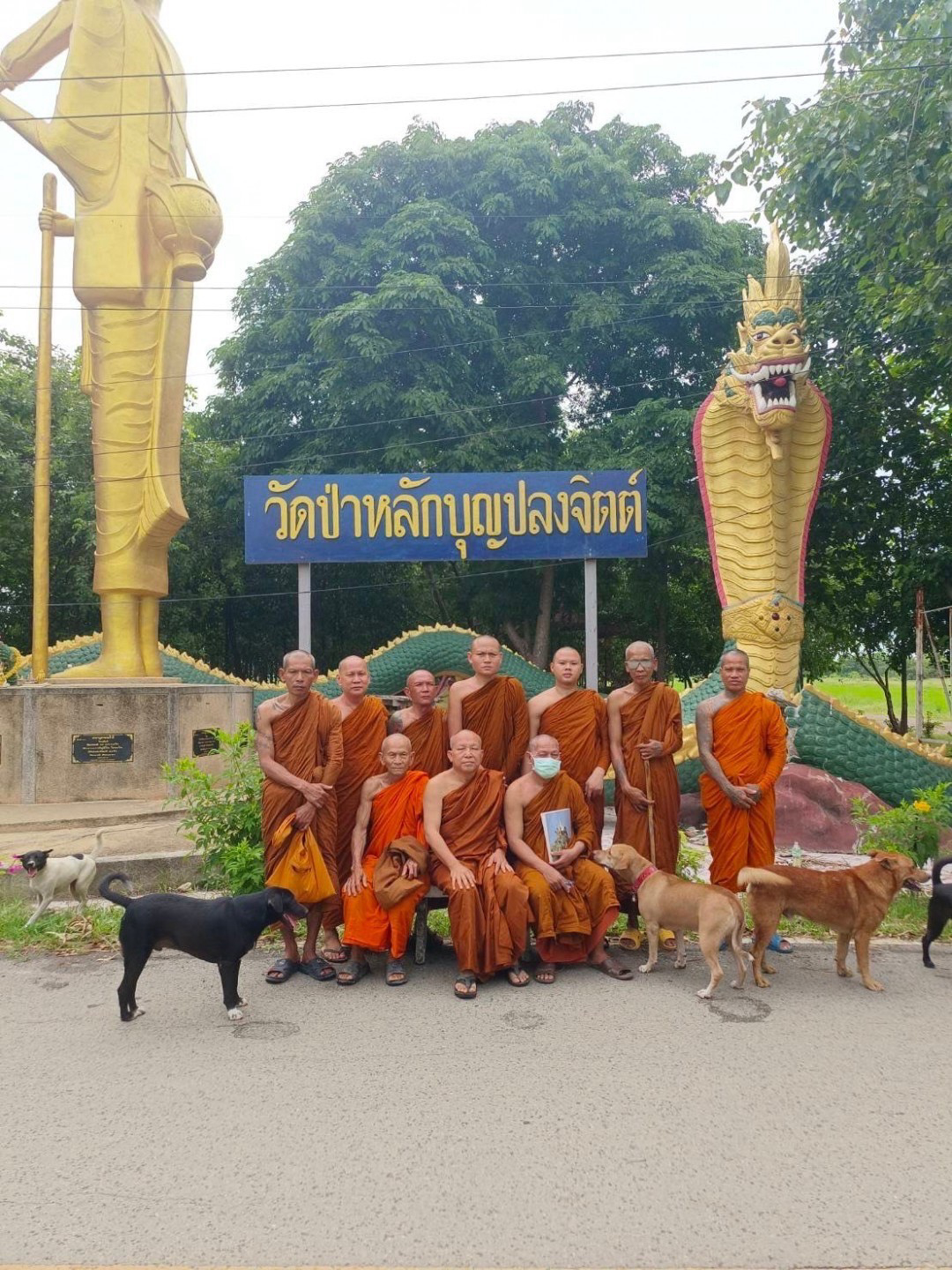วัดป่าหลักบุญปลงจิตต์