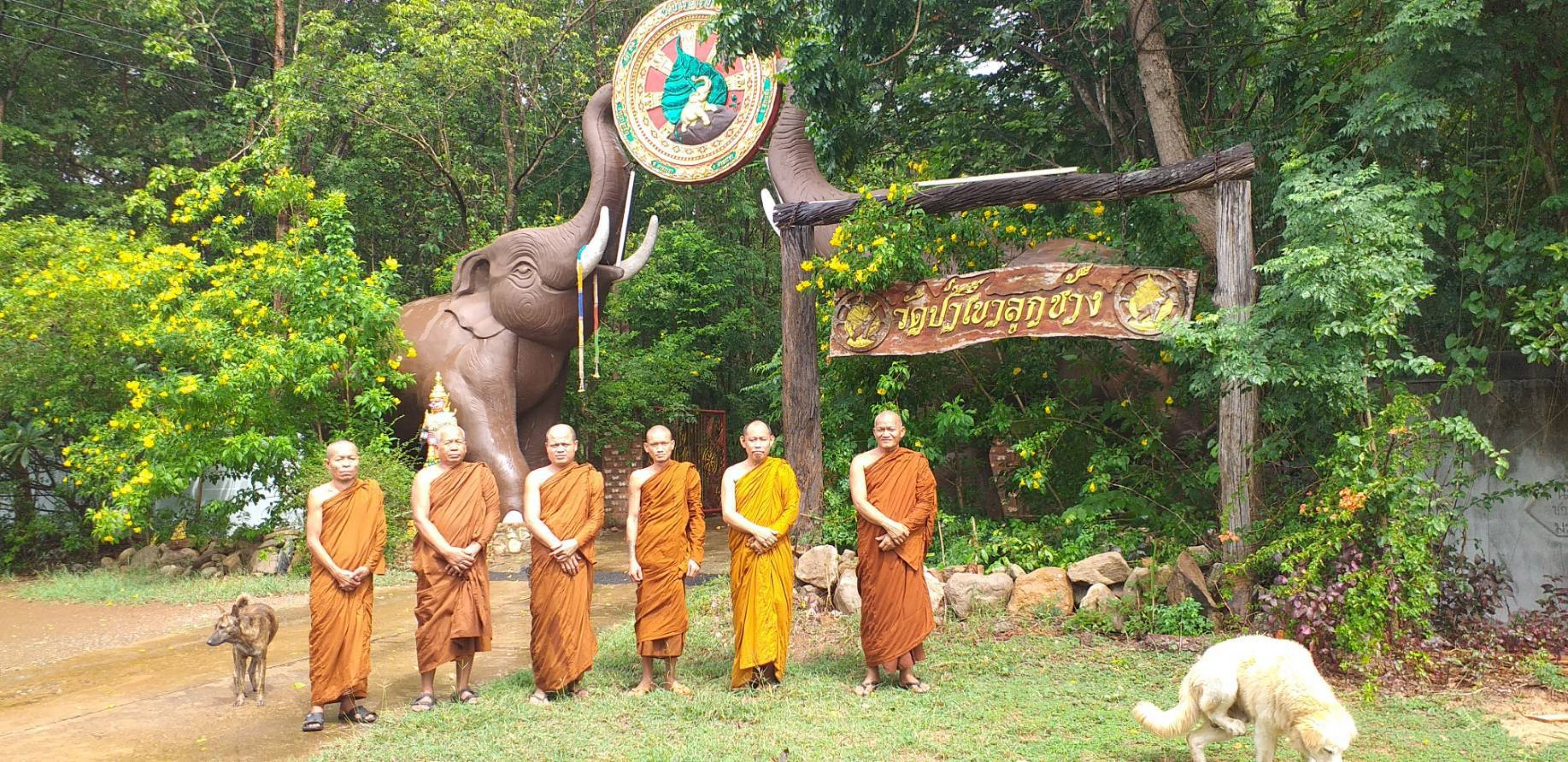 ที่พักสงฆ์ป่าเขาลูกช้าง