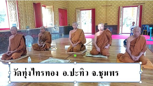 วัดทุ่งไทรทอง