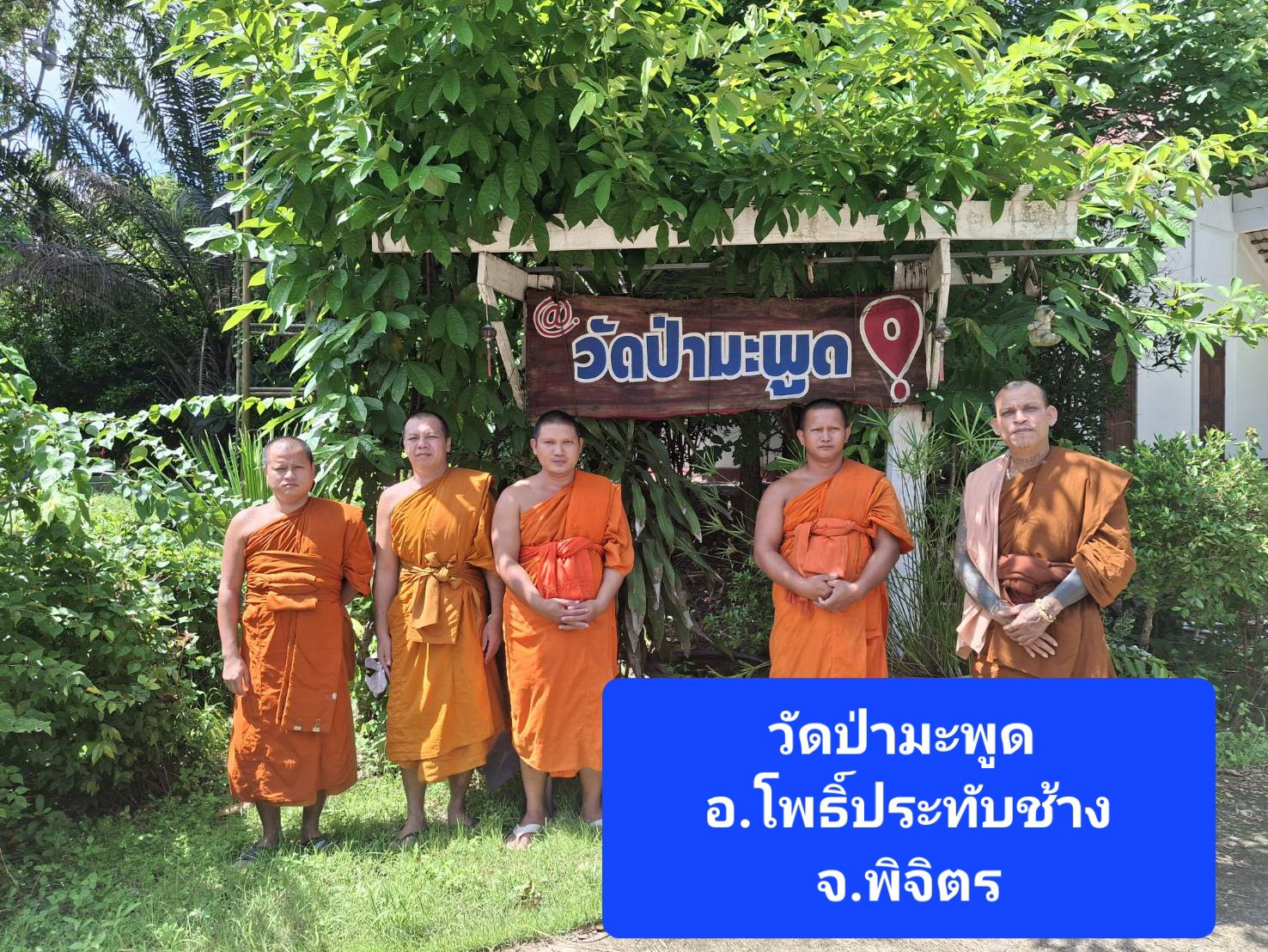 วัดป่ามะพูด