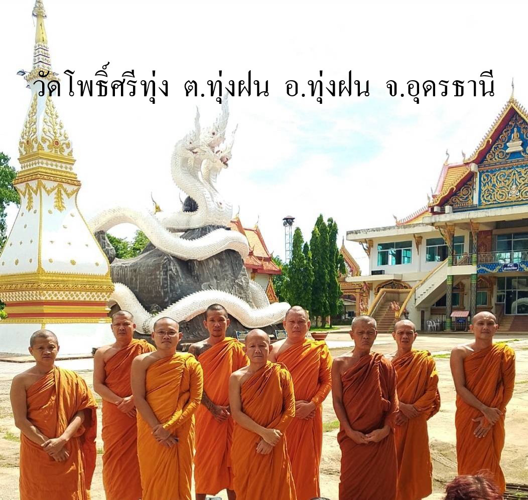 วัดโพธิ์ศรีทุ่ง